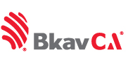 BkavCA